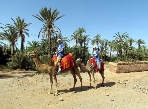 Camel Ride Marrakech Palmeraie