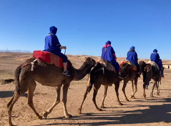 Camel ride Marrakech Agafay desert