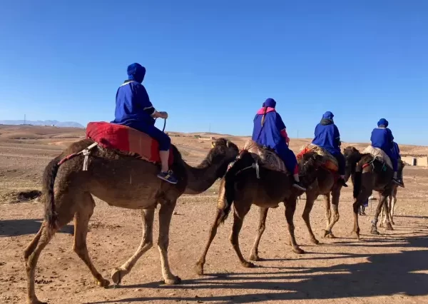 Camel ride Marrakech Agafay desert