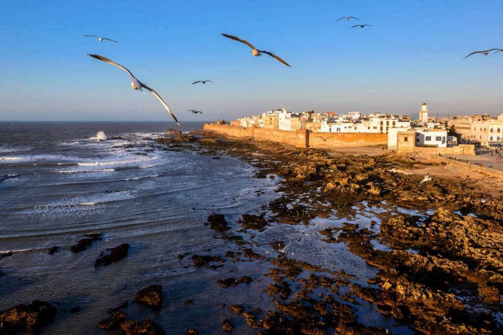 Day Trip from Marrakech to Essaouira