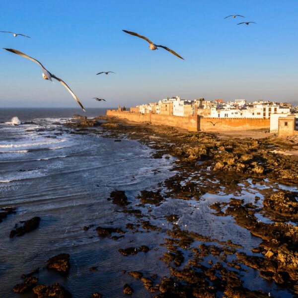 Day Trip from Marrakech to Essaouira